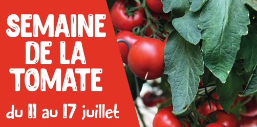 semaine tomates
