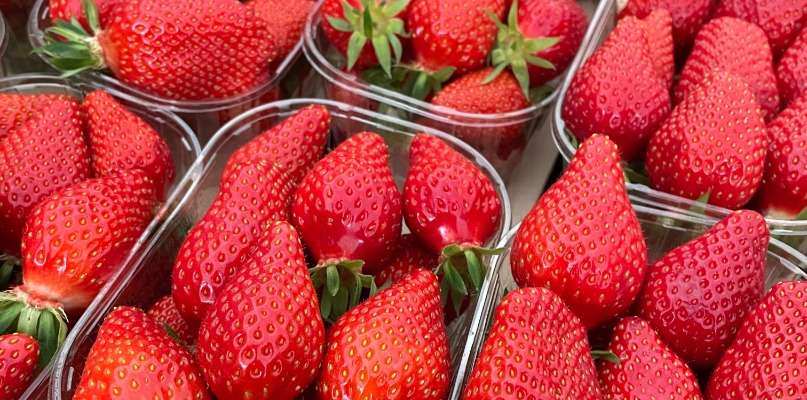 fraises