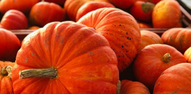 courges