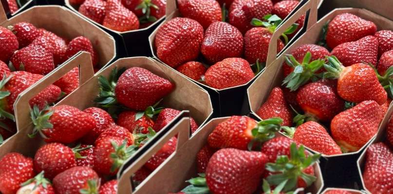 Fraises