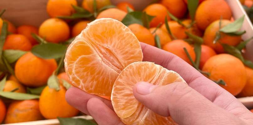 clementines