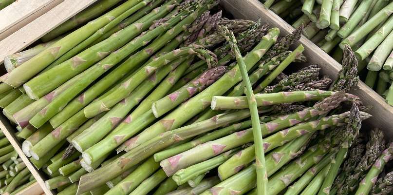 asperges